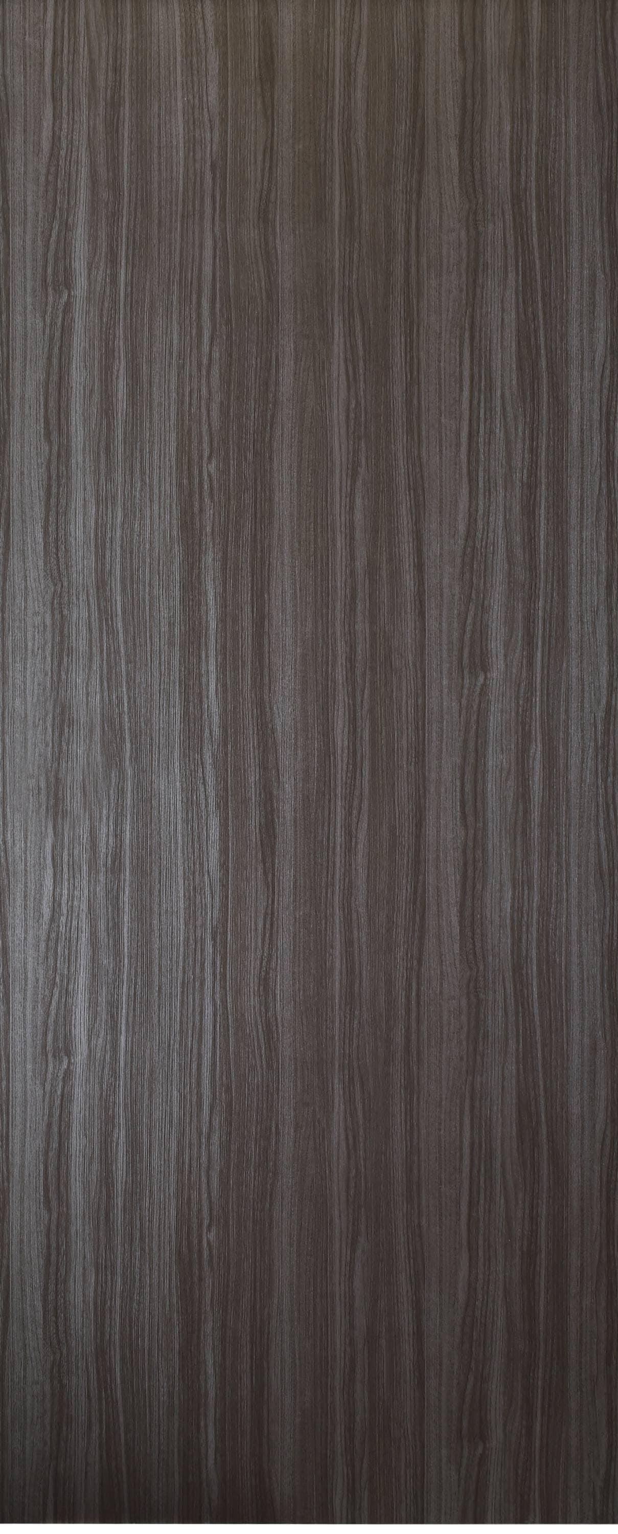 Belldinni Palladio Flat 30X80 Gray Oak 30-in x 80-in Dark Gray Flush Textured Solid core Prefinished Pine Wood Slab Door