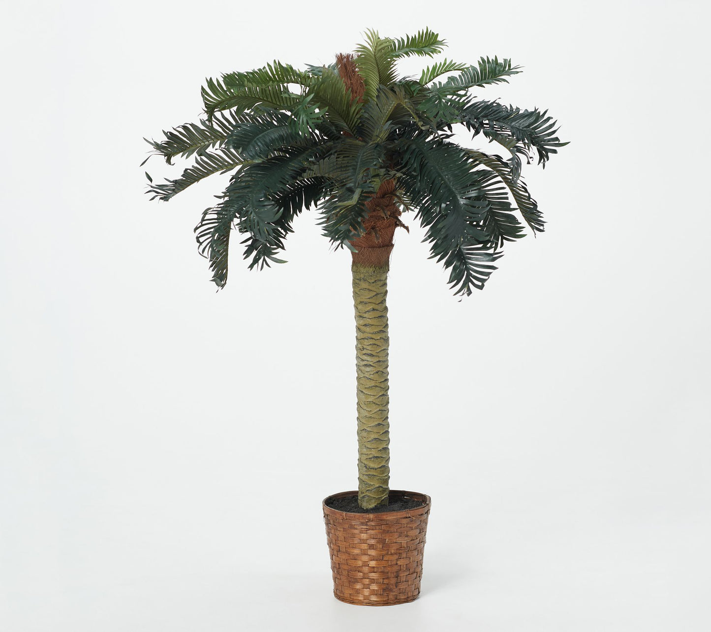 4' Sago Palm Tree by Nearly Natural