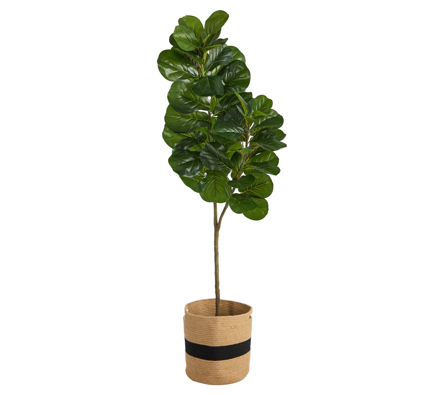 5.5' Fiddle Leaf Fig Natural Cotton Planter byy Natural