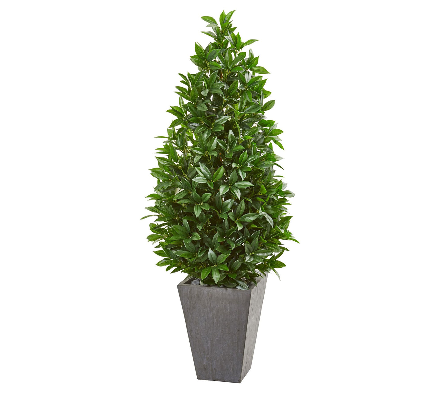 57in. Bay Leaf Cone Topiary in Planter (Indoor/Outdoor)
