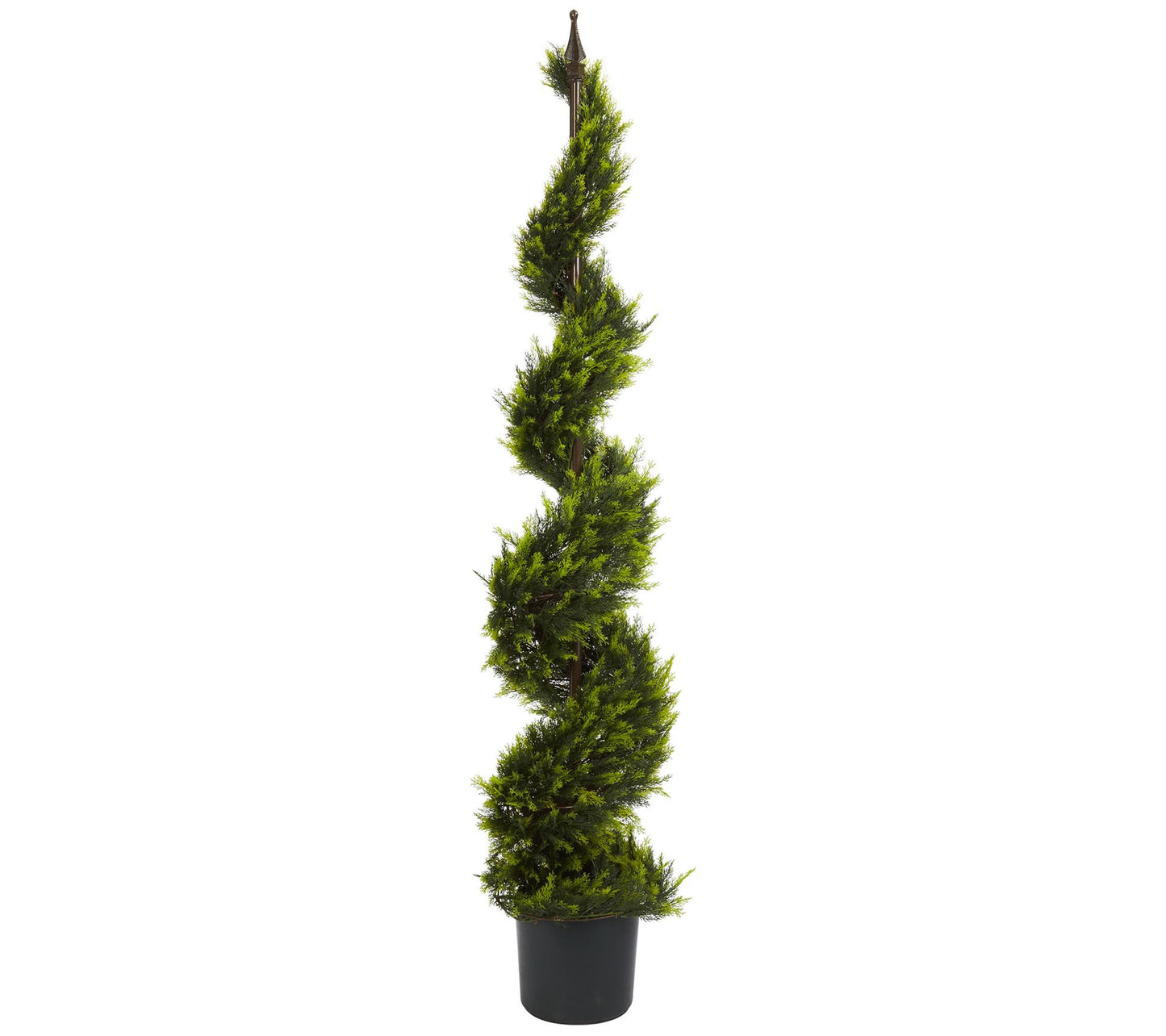5' Cypress Spiral Tree by Nearly Natural