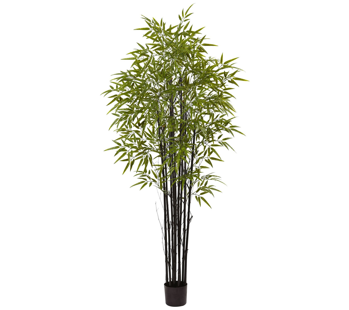 6' Black Bamboo Tree by Nearly Natural