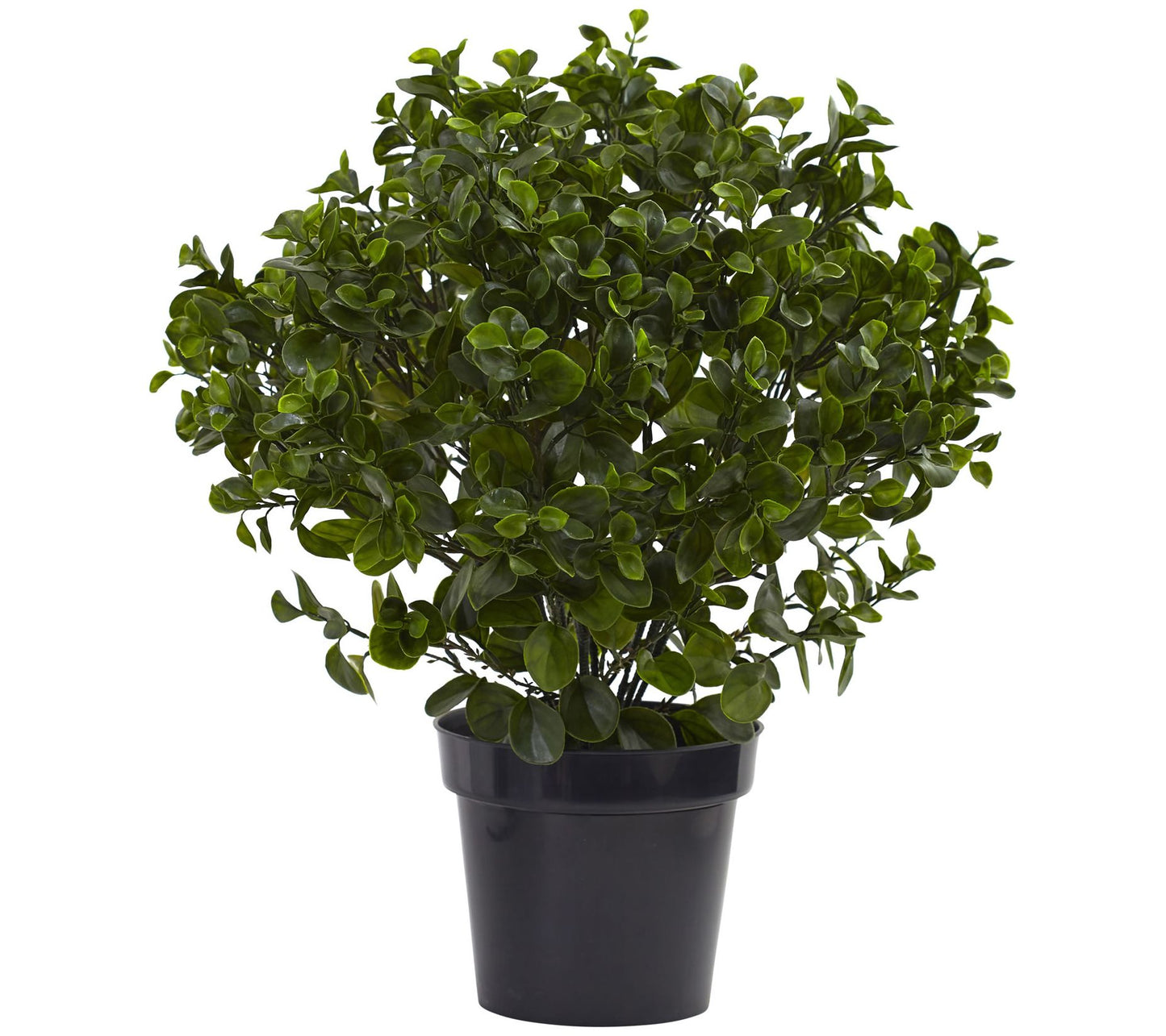 28" Peperomia Plant by Nearly Natural