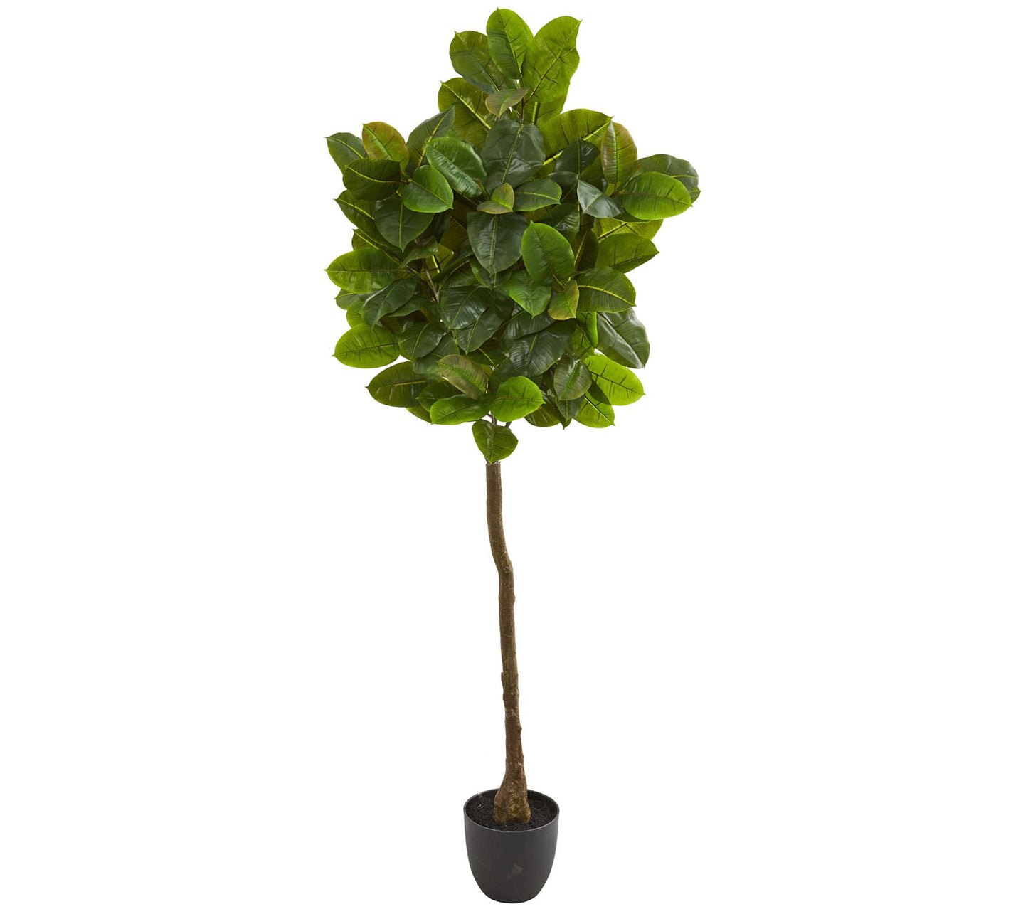 6' Rubber Leaf Tree Real Touch by Nearly Natural