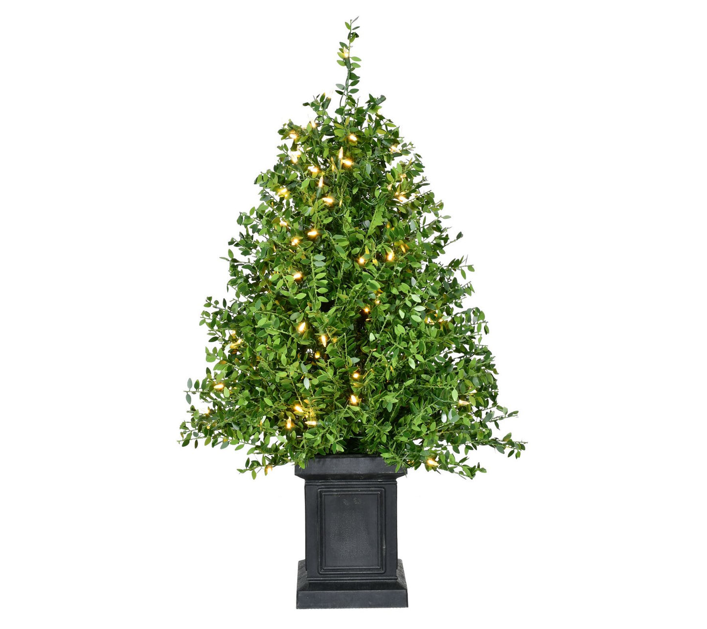 Fraser Hill Farm 4-Ft. Boxwood Porch Tree in Pot