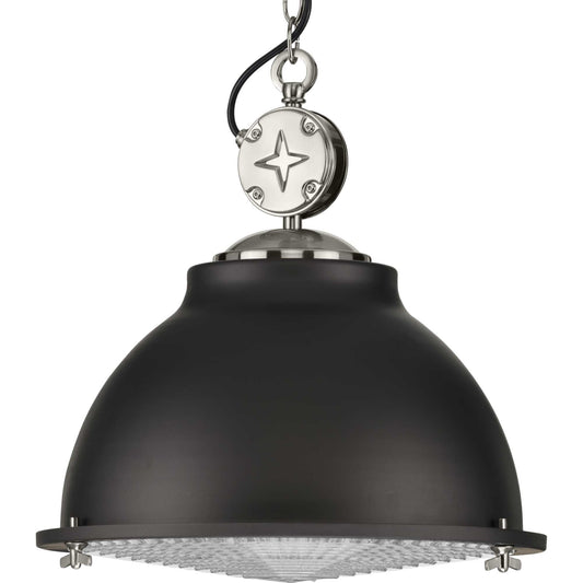 Progress Lighting Medal Graphite Coastal Clear glass Dome Medium Hanging Pendant light 2467520