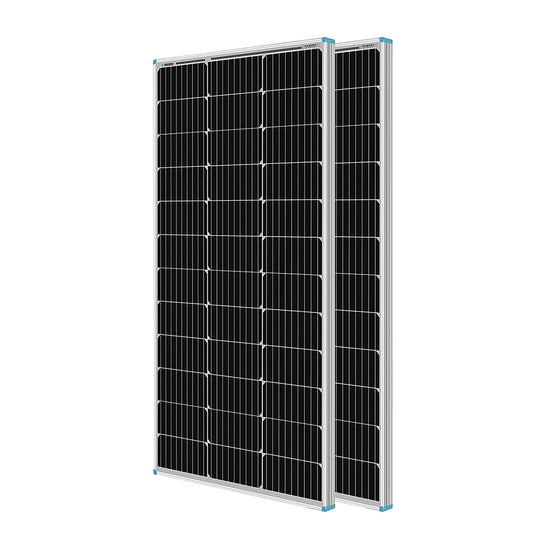 Renogy 2-Module 41.8-in x 20.9-in 200-Watt Solar Panel RNG-100D-SSX2-US