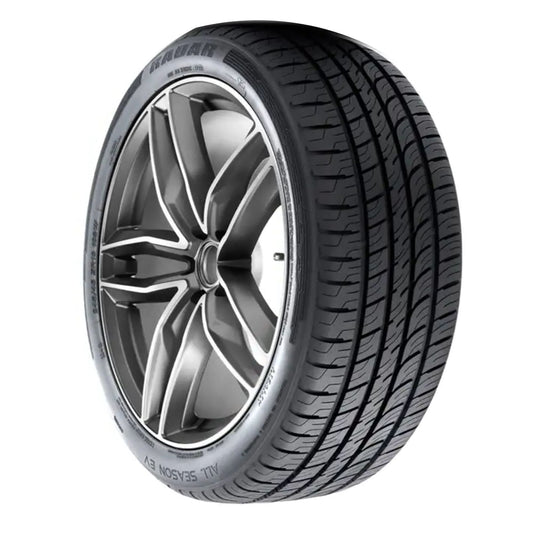 Radar All Season EV All Season 235/45R18 98W XL Electric Vehicle Tire