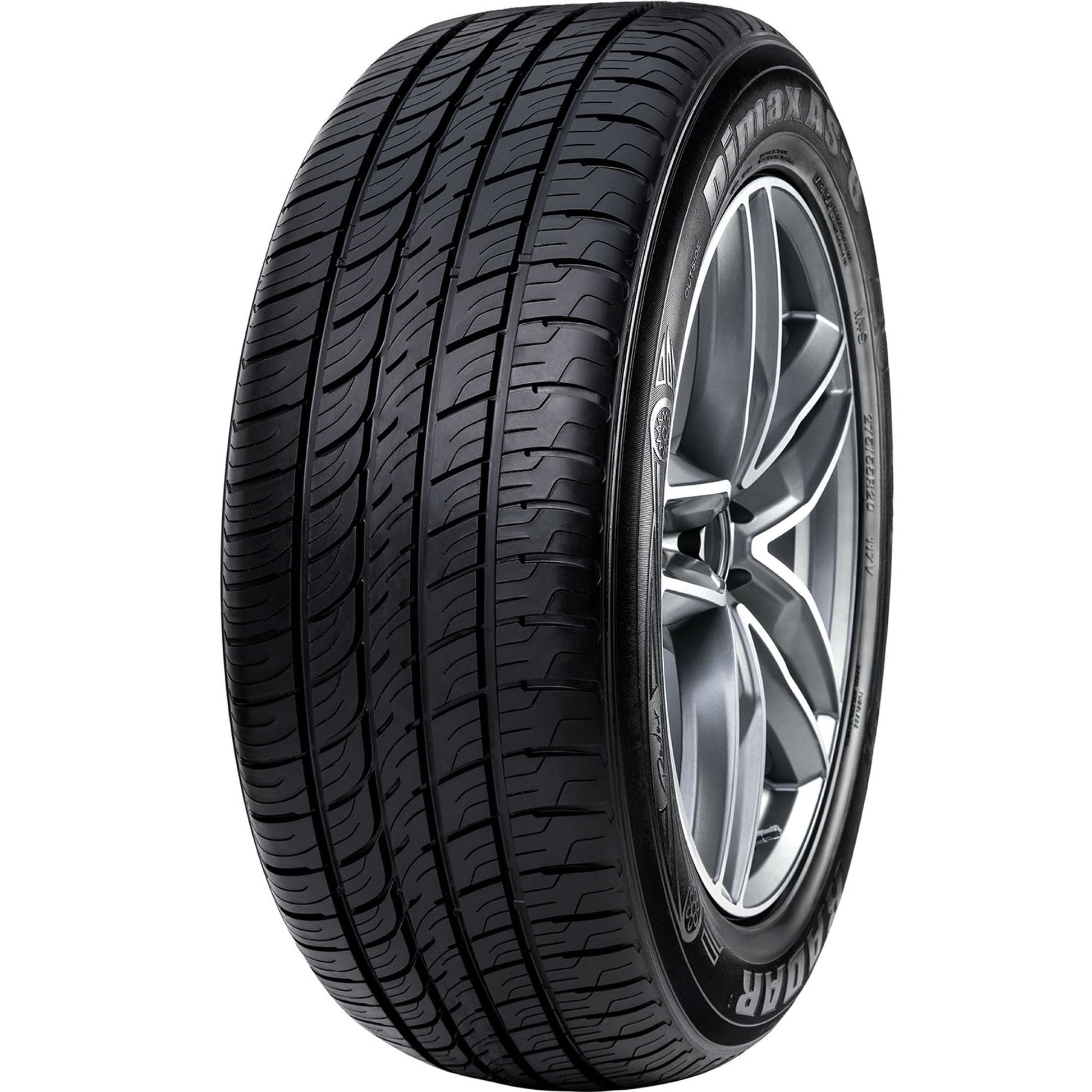 Radar Dimax AS-8 All Season 225/45R18 95W XL Passenger Tire