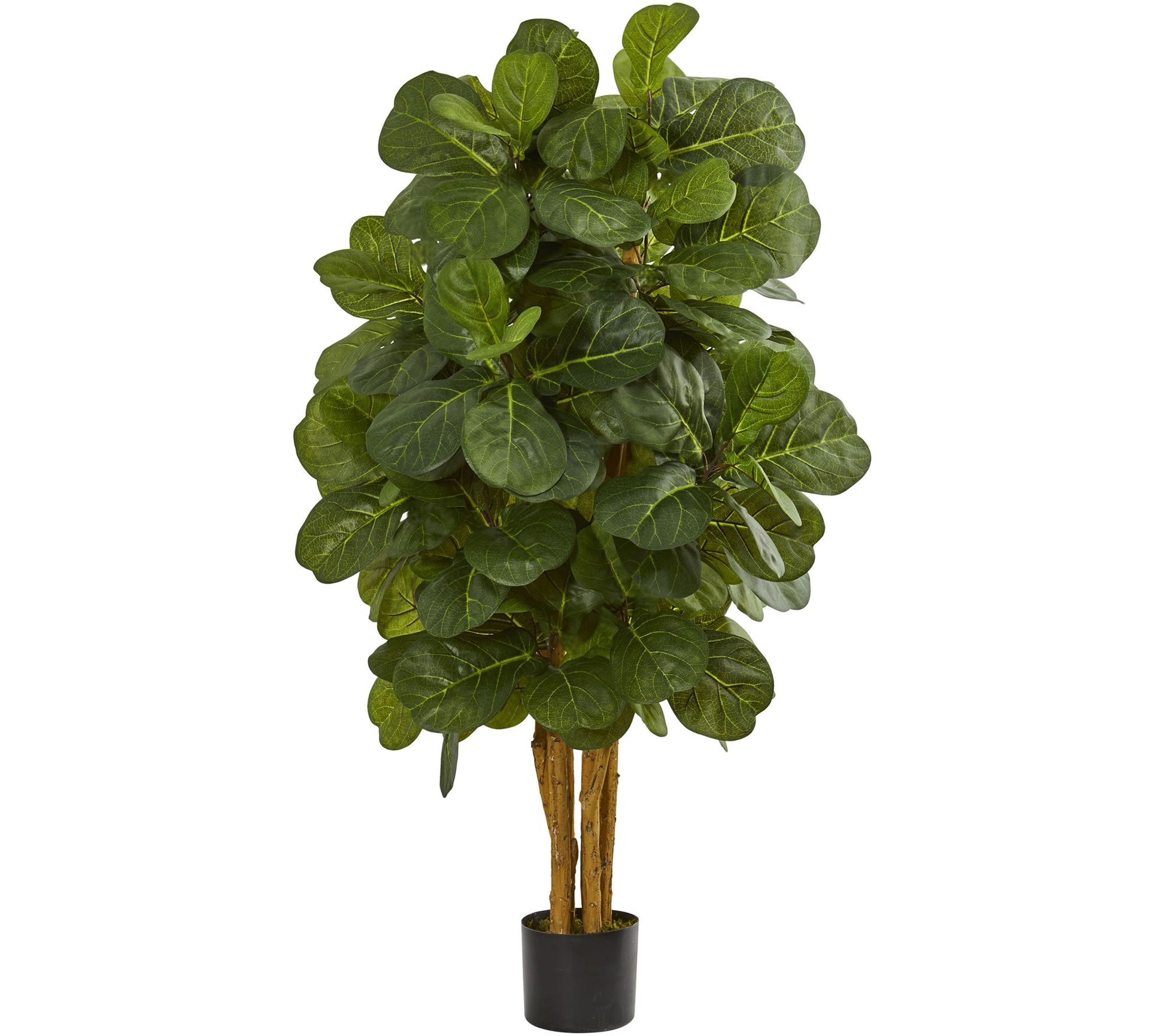 4' Fiddle Leaf Fig Tree in Black Planter by Nearly Natural