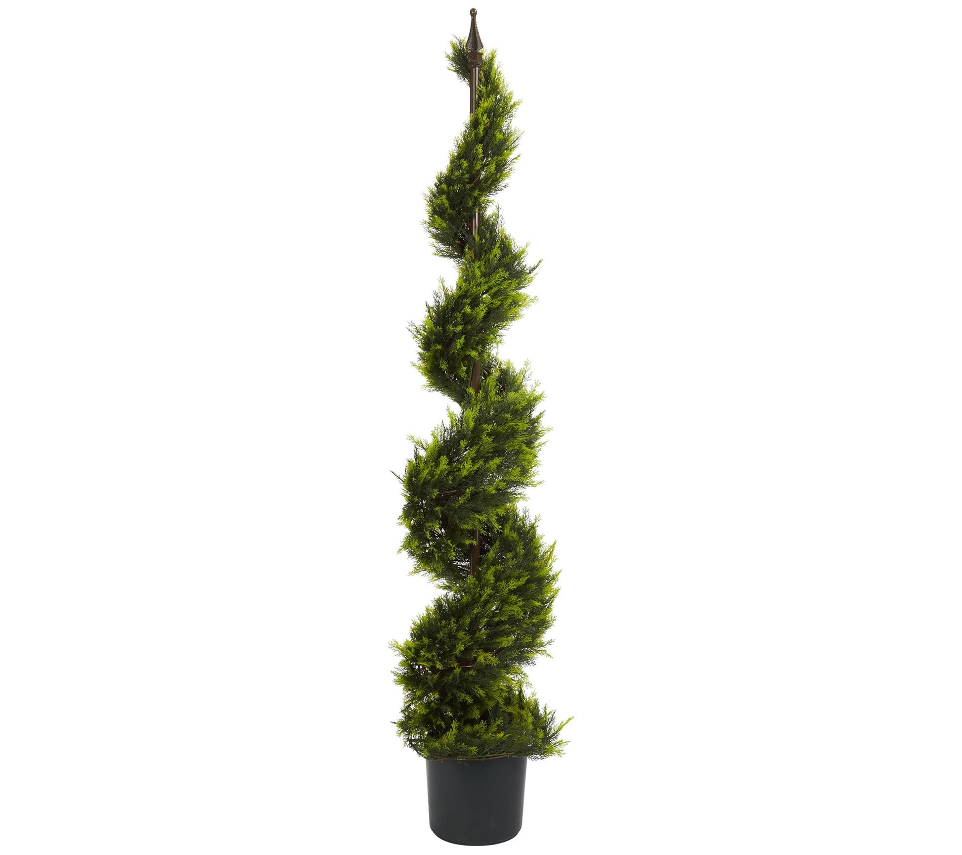 5' Cypress Spiral Tree by Nearly Natural