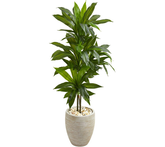 4' Dracaena Plant in Sand-Colored Planter by Nearly Natural