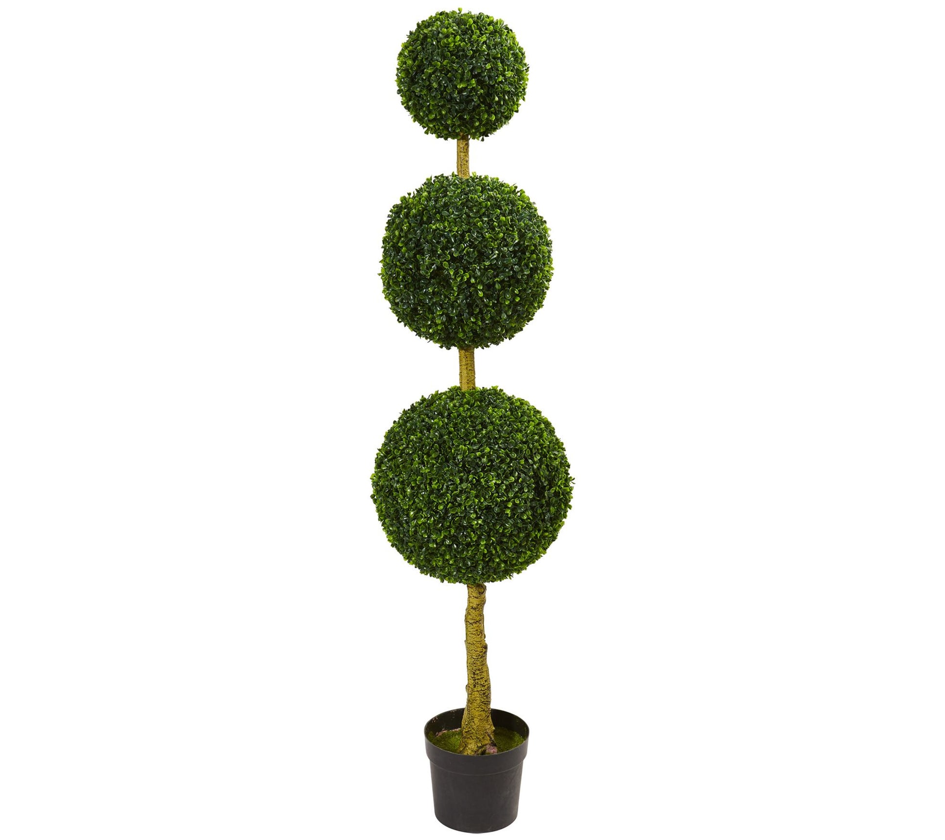 5.5' Triple Ball Boxwood Topiary Tree by Nearly Natural