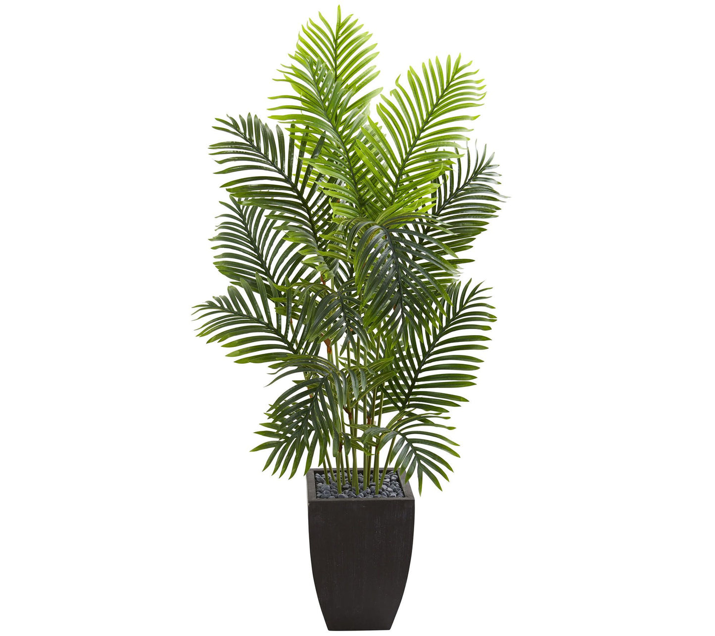 5.5' Paradise Palm Tree in Square Planter by Nearly Natural