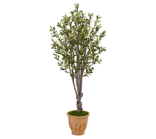 5' Olive Tree in Terra-Cotta Planter by Nearly Natural