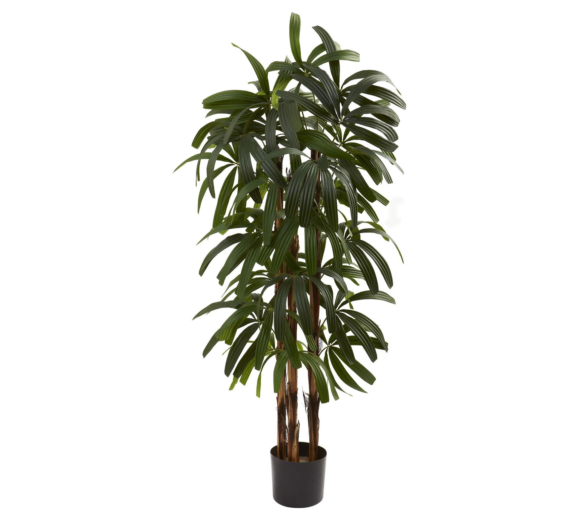 4' Raphis Palm Tree by Nearly Natural