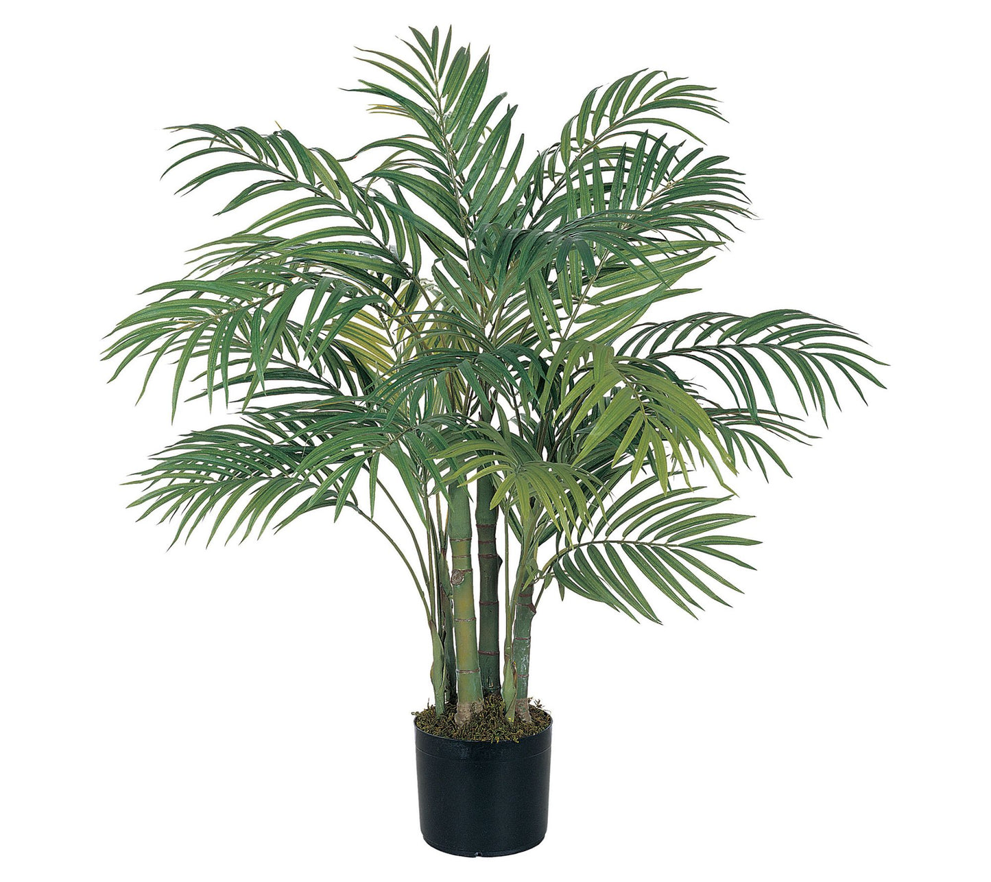 3' Areca Palm Tree by Nearly Natural