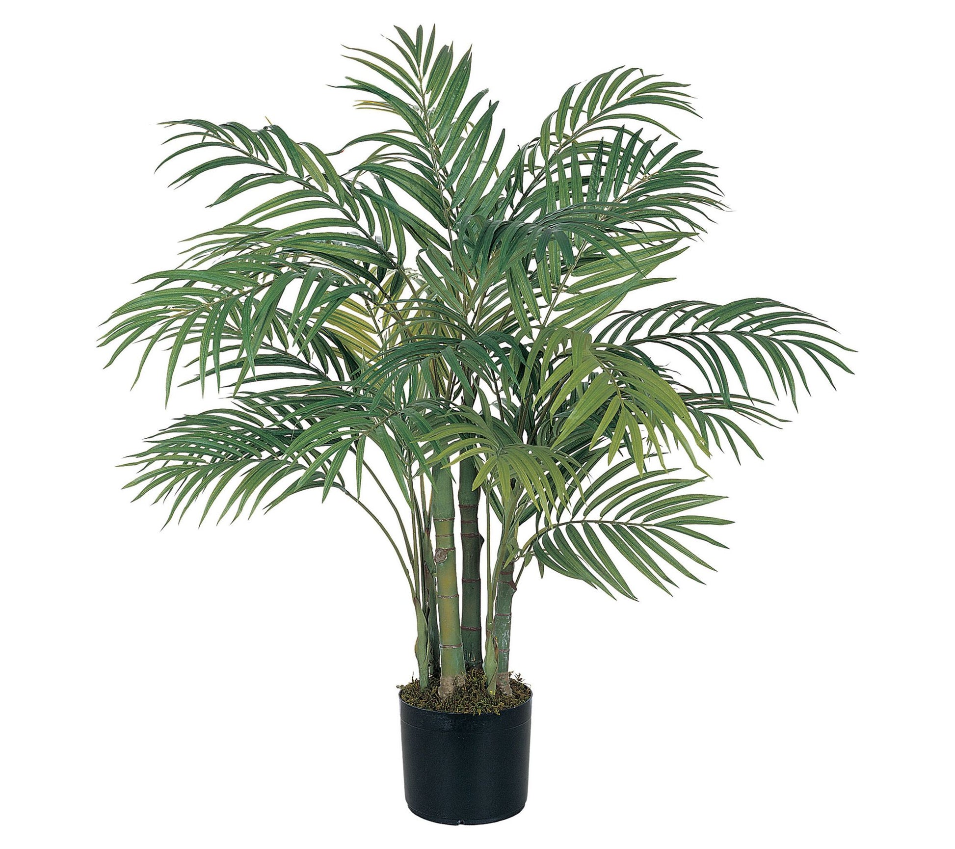 3' Areca Palm Tree by Nearly Natural