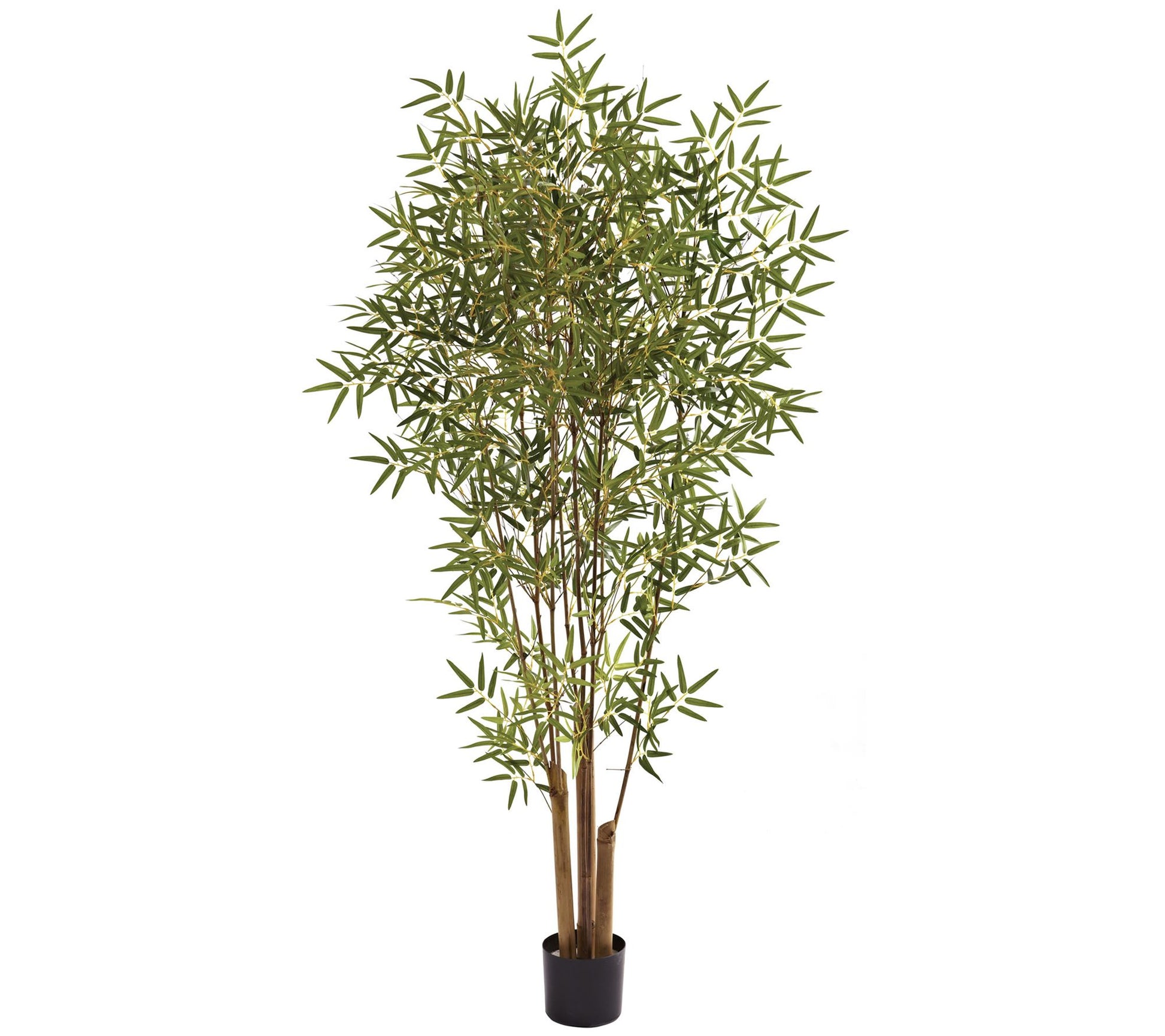 6' Japanese Bamboo Tree by Nearly Natural