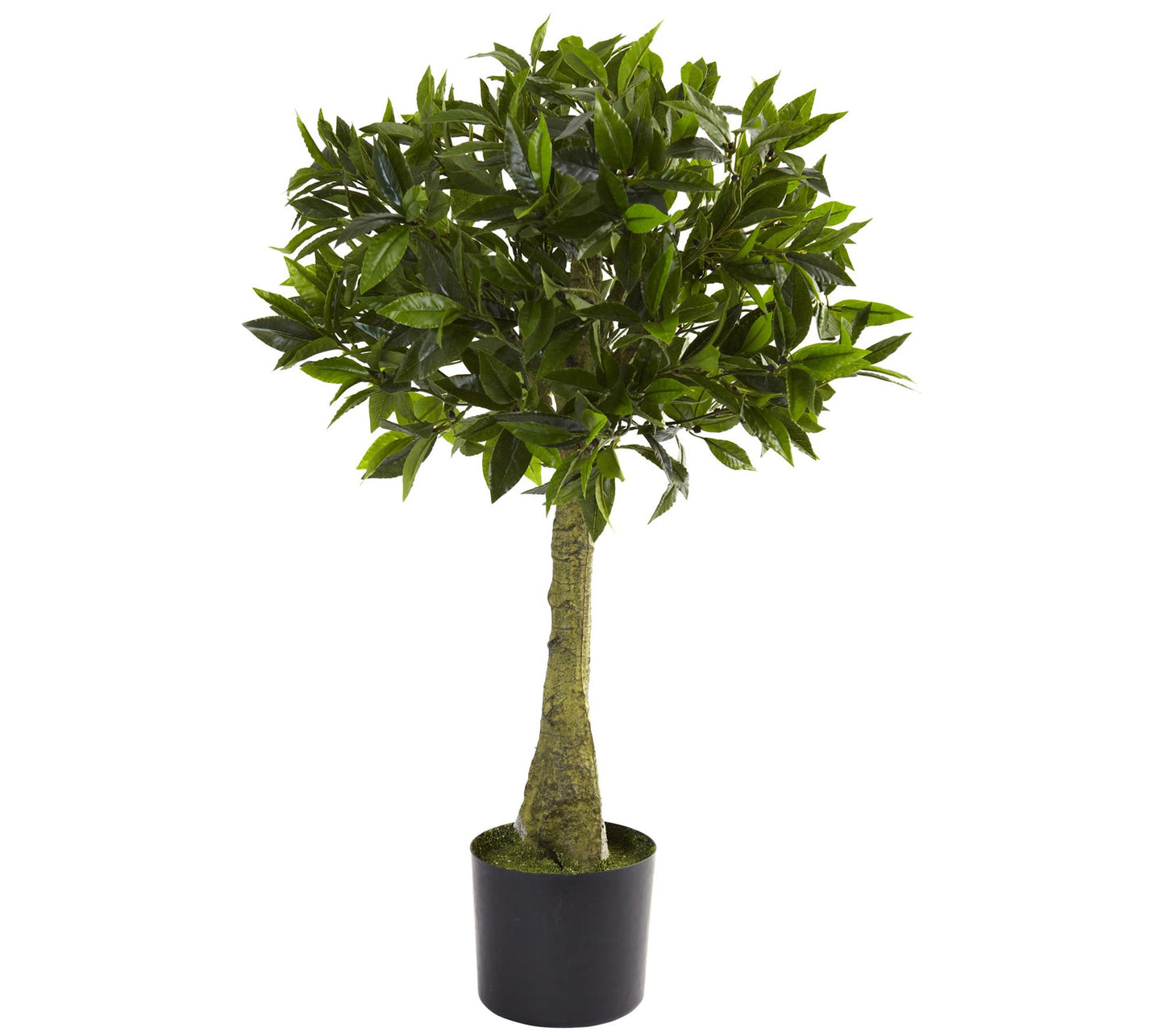 3' Bay Leaf Topiary by Nearly Natural