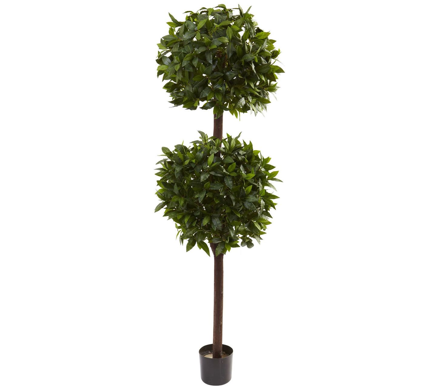 6' Sweet Bay Double-Ball Topiary by Nearly Natural