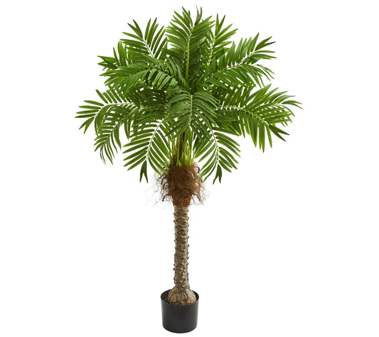 58" Artificial Robellini Palm Tree by Nearly Natural