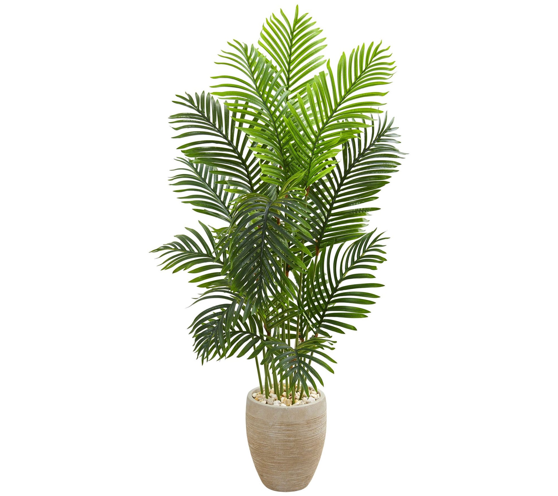 5' Paradise Palm Tree in Planter by Nearly Natural