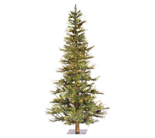 5' x 35" Ashland Tree by Vickerman