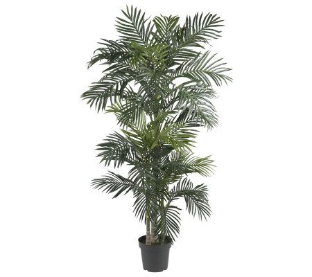 6-1/2' Golden Cane Palm Tree by Nearly Natural