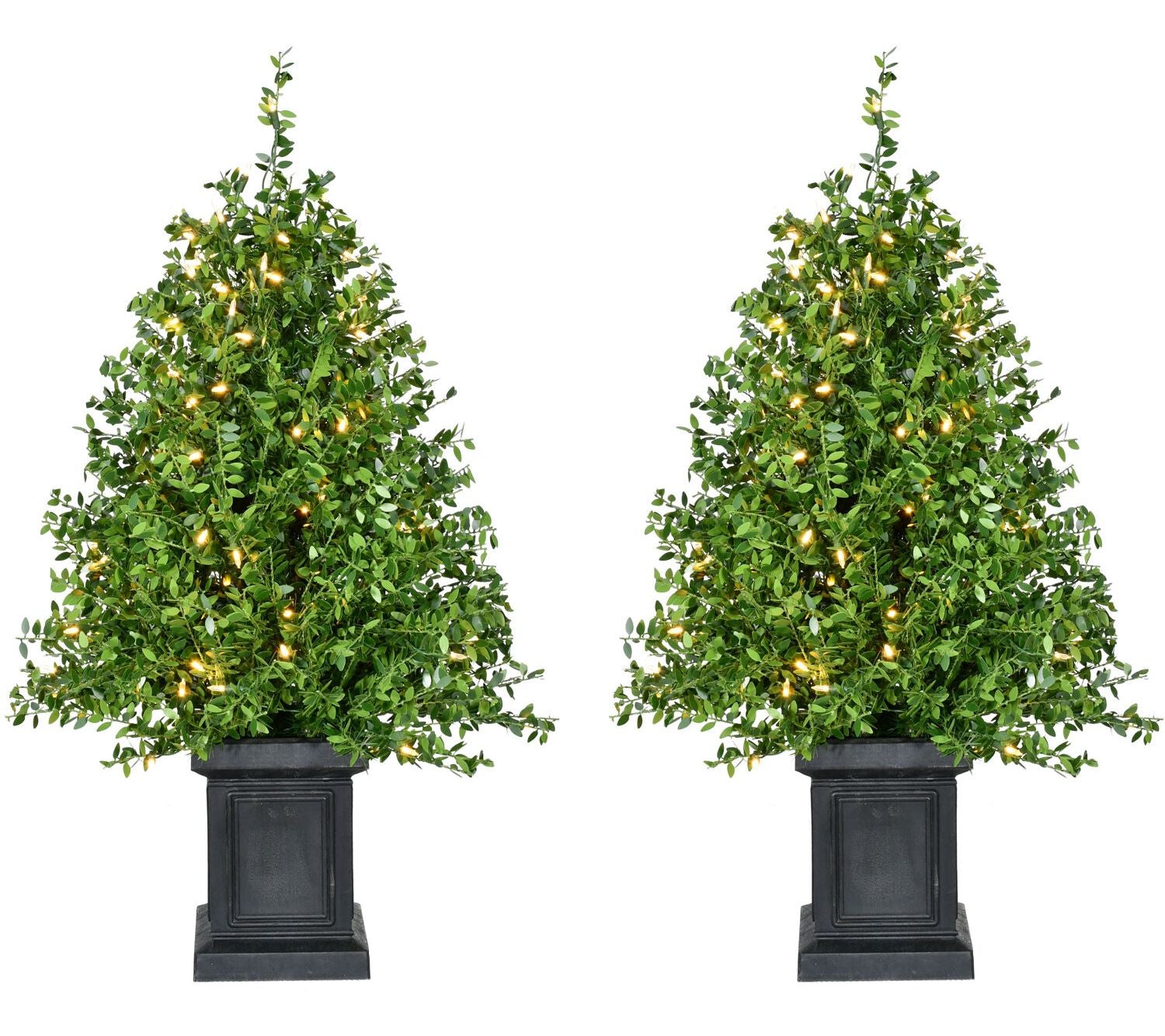 Fraser Hill Farm 2' Boxwood Porch Tree in Black Pot S/2