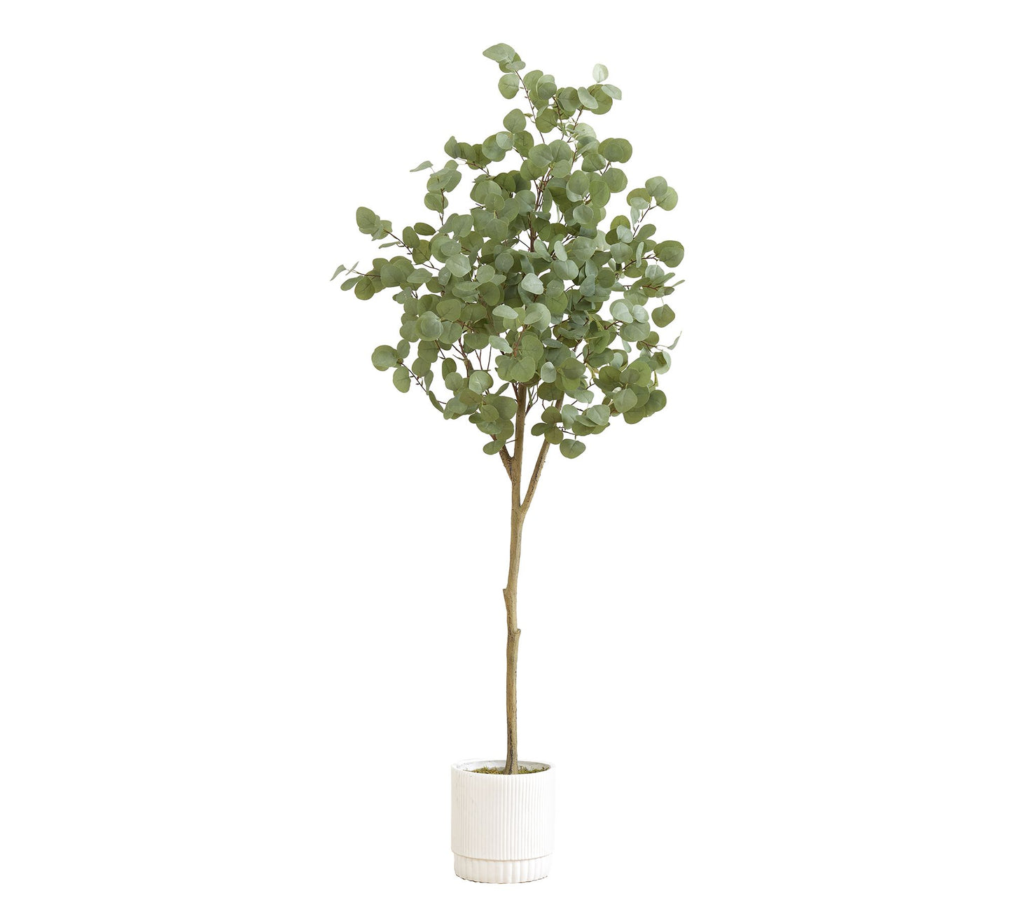 6' Artificial Eucalyptus Tree with White Decorative Planter