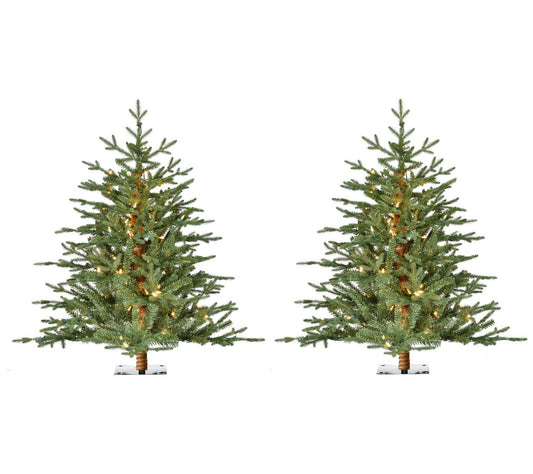 Fraser Hill Farm 3 Ft. Green Alpine Porch Accent Tree Set of 2